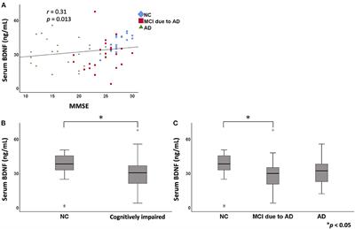 Serum BDNF as a Potential Biomarker of Alzheimer's Disease: Verification Through Assessment of Serum, Cerebrospinal Fluid, and Medial Temporal Lobe Atrophy